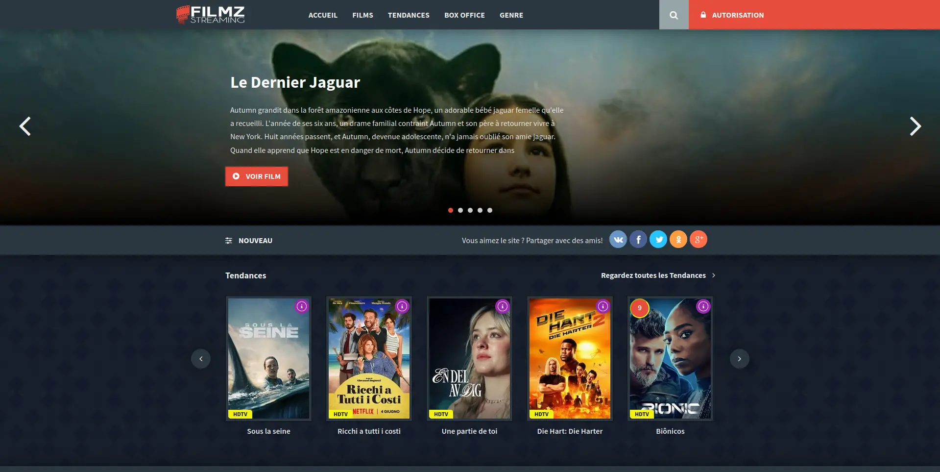 page d'accueil de filmz-streaming